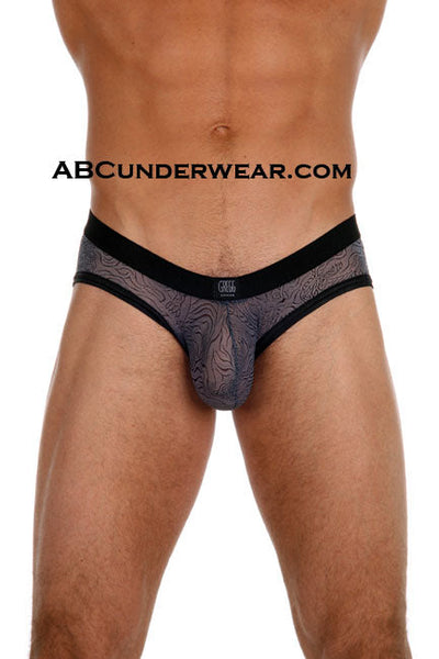 Gregg Homme Tigers Brief - Closeout