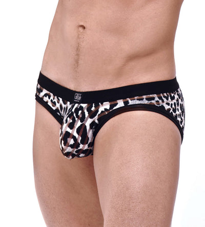Predator Brief