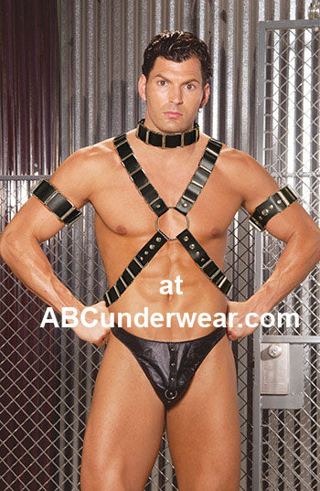 Premium Men's 4 Piece Harness Set for the Modern Gentleman