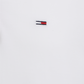 TJM SLIM PLACKET POLO EXT - DM0DM18312