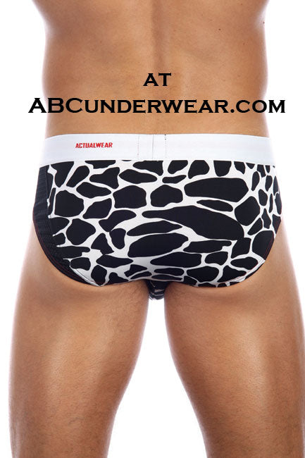 3G Safari Brief