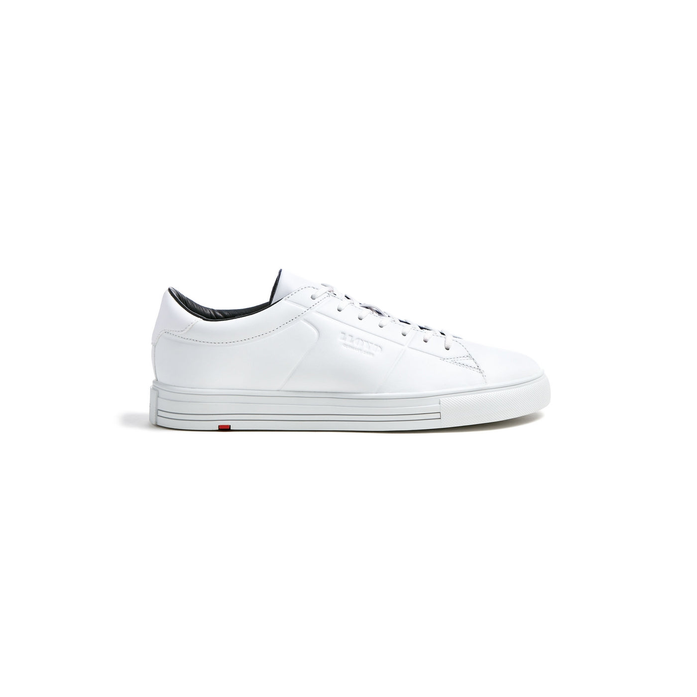 ENRICO - 1341621