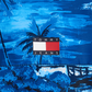 TJM AO HAWAIIAN CHICAGO - DM0DM18972