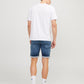 JJIRICK JJICON SHORTS GE 341 I.K SS - 12250169