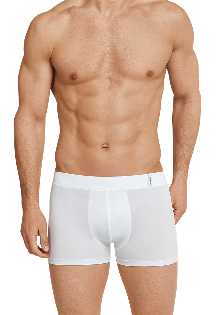 Shorts - 149045