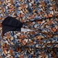B.D. Casual Fit - 454528700