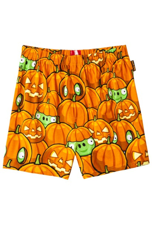 Angry Birds Pumpkin Pigs Boxer