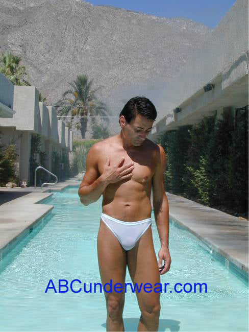 Elegant Sheer Mesh Thong for a Sensual and Sophisticated Appeal