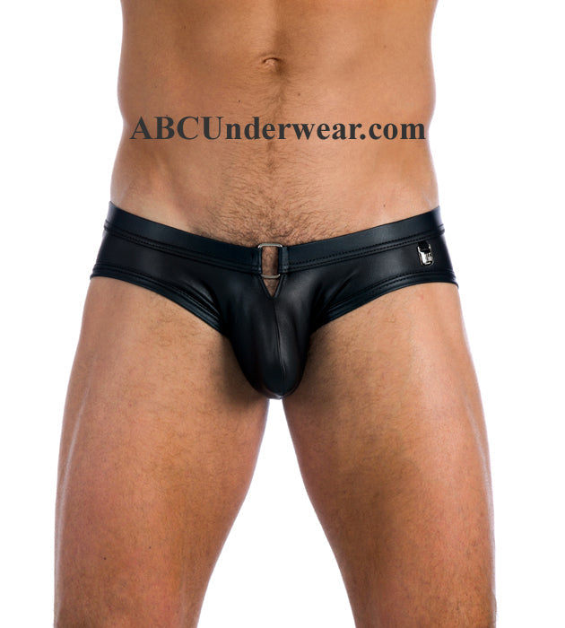 Gregg Homme Fuel Brief