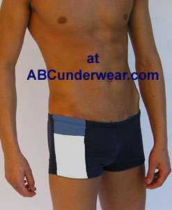 LASC Panel Squarecut Swimsuit