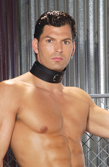 Leather Collar with D Ring