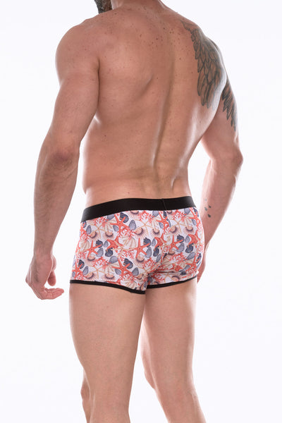 Men's Boxer Brief Underwear Featuring Seashell Design - By NDS Wear
