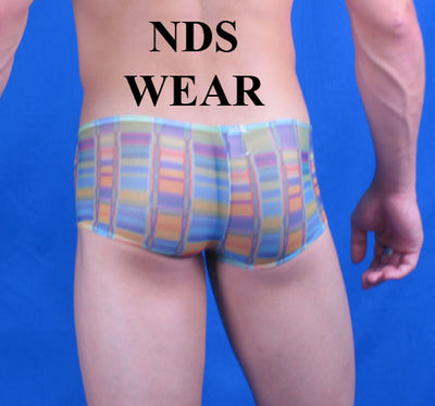 Mens Sheer Multi-Color Graphic Short