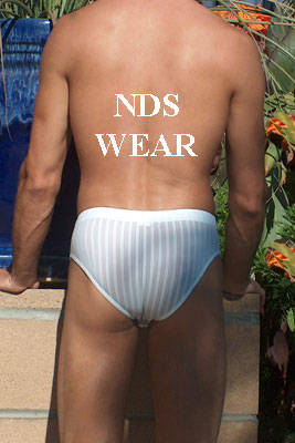 Microfiber White Sheer Stripe Brief - Clearance