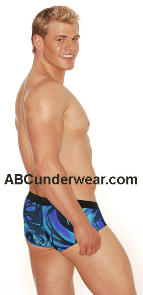 Palm Beach Eros Swimsuit Clearance