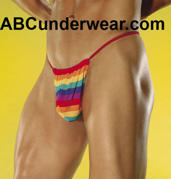 Rainbow Posing Strap