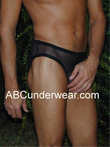 Sheer Pouch Bikini