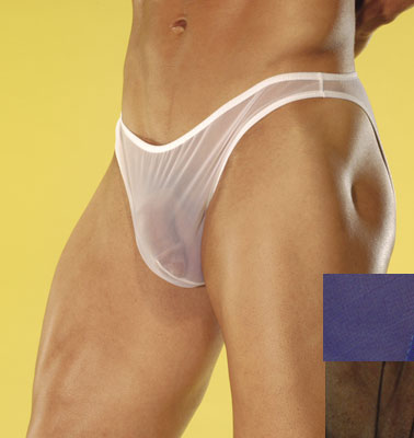 Sheer Wonder Bikini Underwear