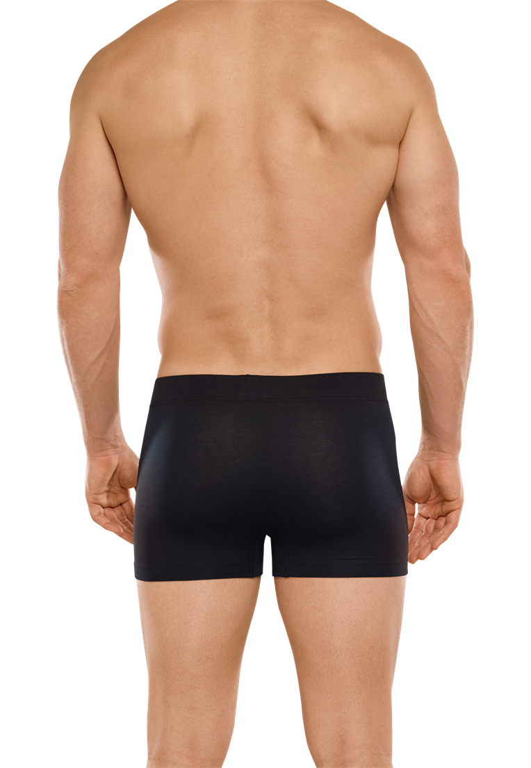 Shorts - 149045