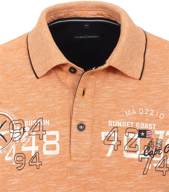 Polo - 923877600