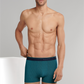Shorts - 173690
